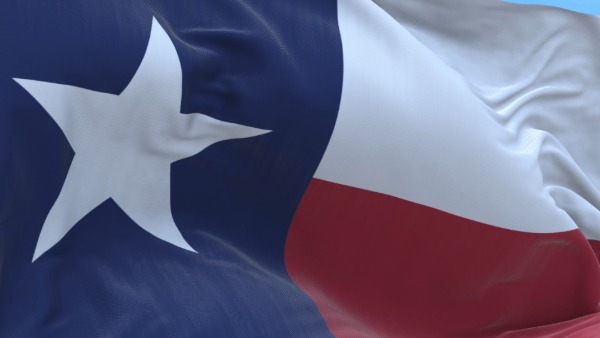 texas flag Texas state flag
